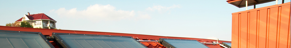 Banner - Ralf Griesbaum